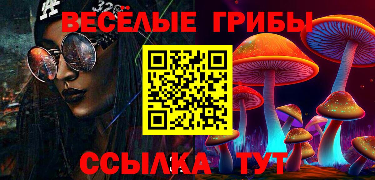 Назарово  Псилоцибиновые грибы Psilocybine cubensis  Вход с VPN  Псилоцибиновые грибы Cubensis 