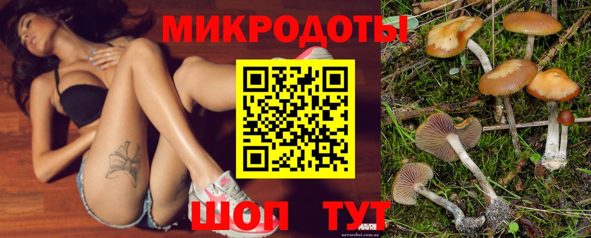 Псилоцибиновые грибы Cubensis Назарово