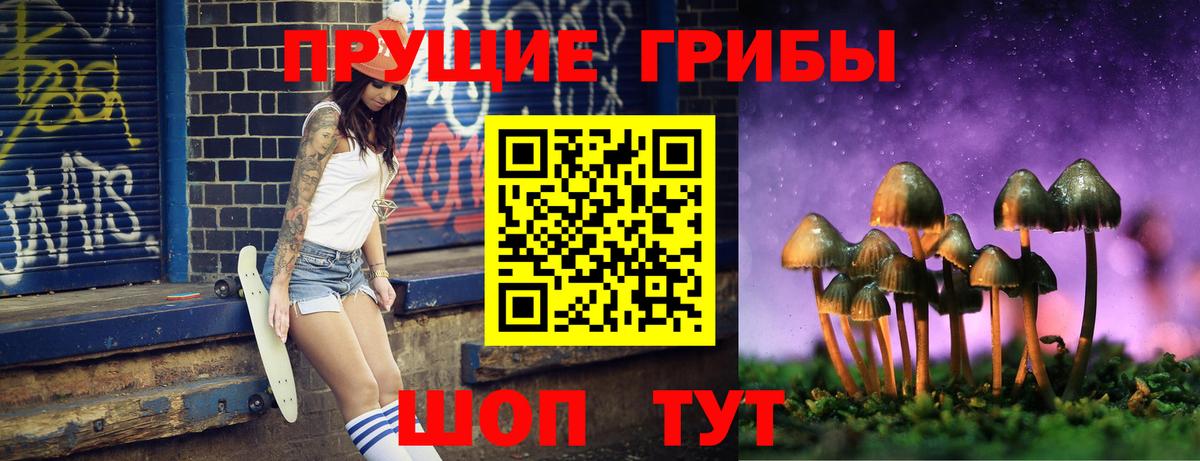 Псилоцибиновые грибы мицелий Назарово